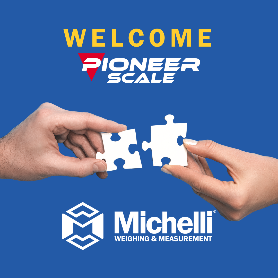Welcome Pioneer Scale with two hands connecting puzzle pieces and Michelli logo on blue background