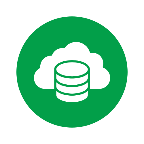 Memory and Storage Icon Green