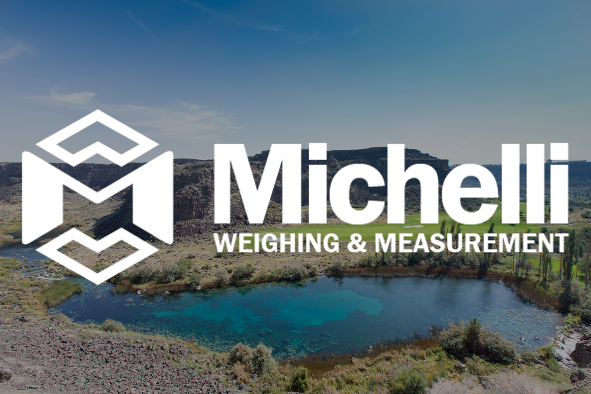 Michelli logo with Pocatello, Idaho landscape in the background.